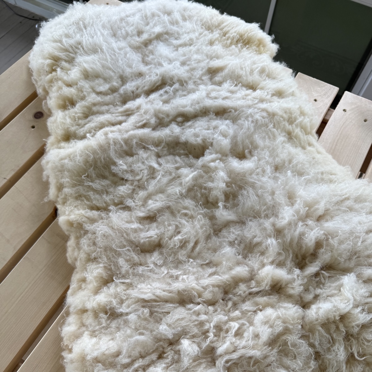 Twisted Oaks, Corriedale Naturally Tanned Sheepskin